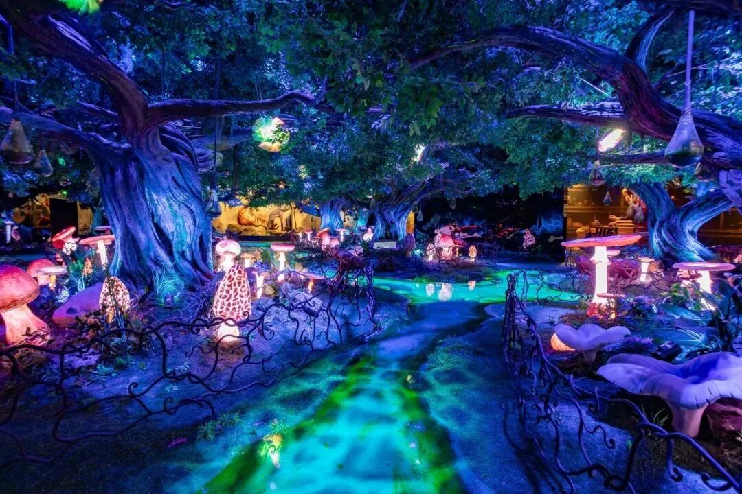 1762245305132377.jpg f49fcaab47e6268de5b9ba5bfc3de8c3.jpg